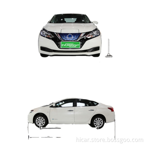 High standard long range low speed four wheel electric car for adults